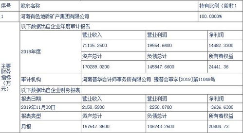 河南地矿科技产业园24%股权及技术转让项目挂牌 转让价格达2.03亿元