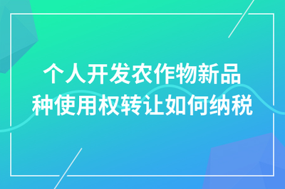 个人开发农作物新品种使用权转让的税务处理指南